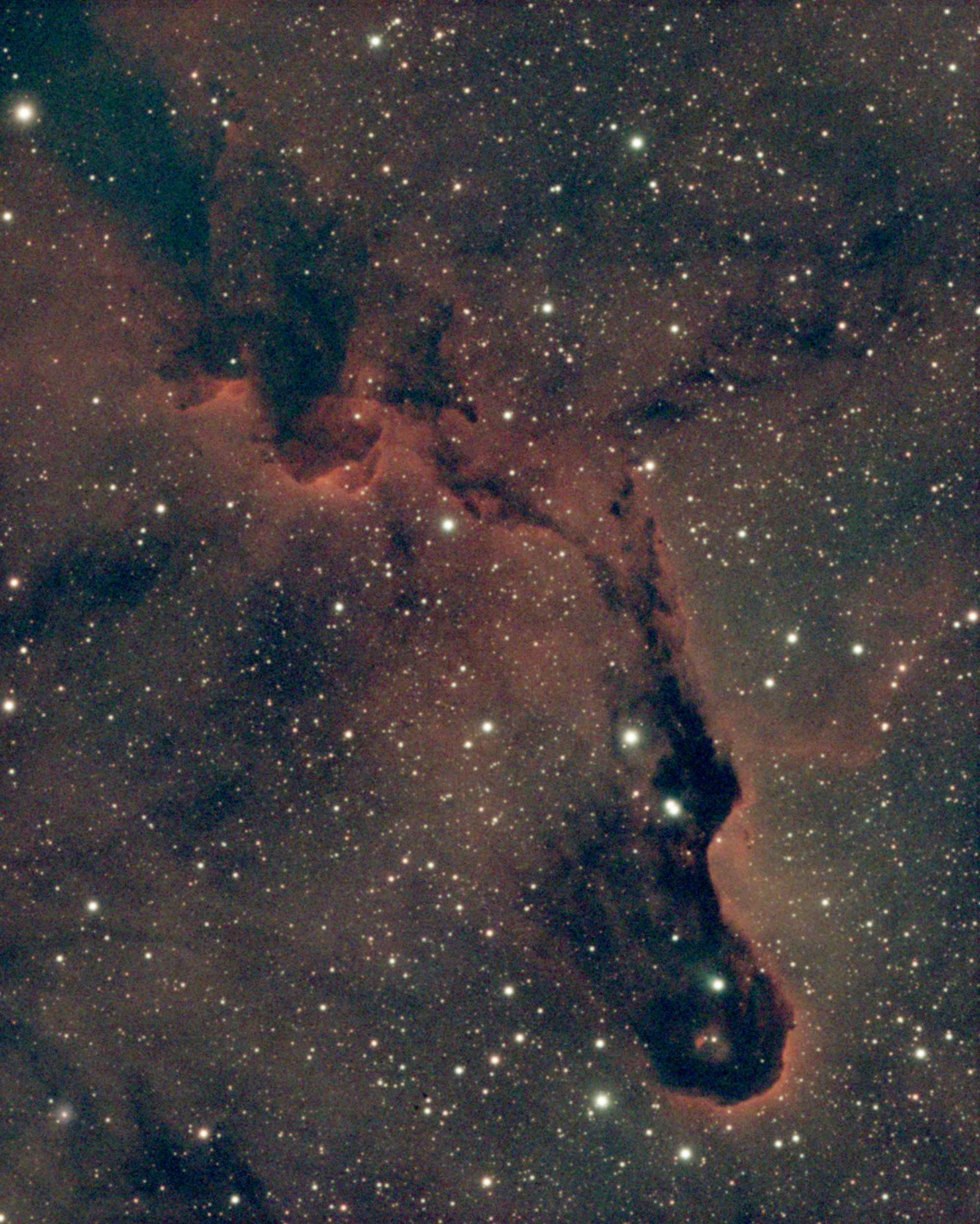 IC1396 Elephants Trunk Nebula