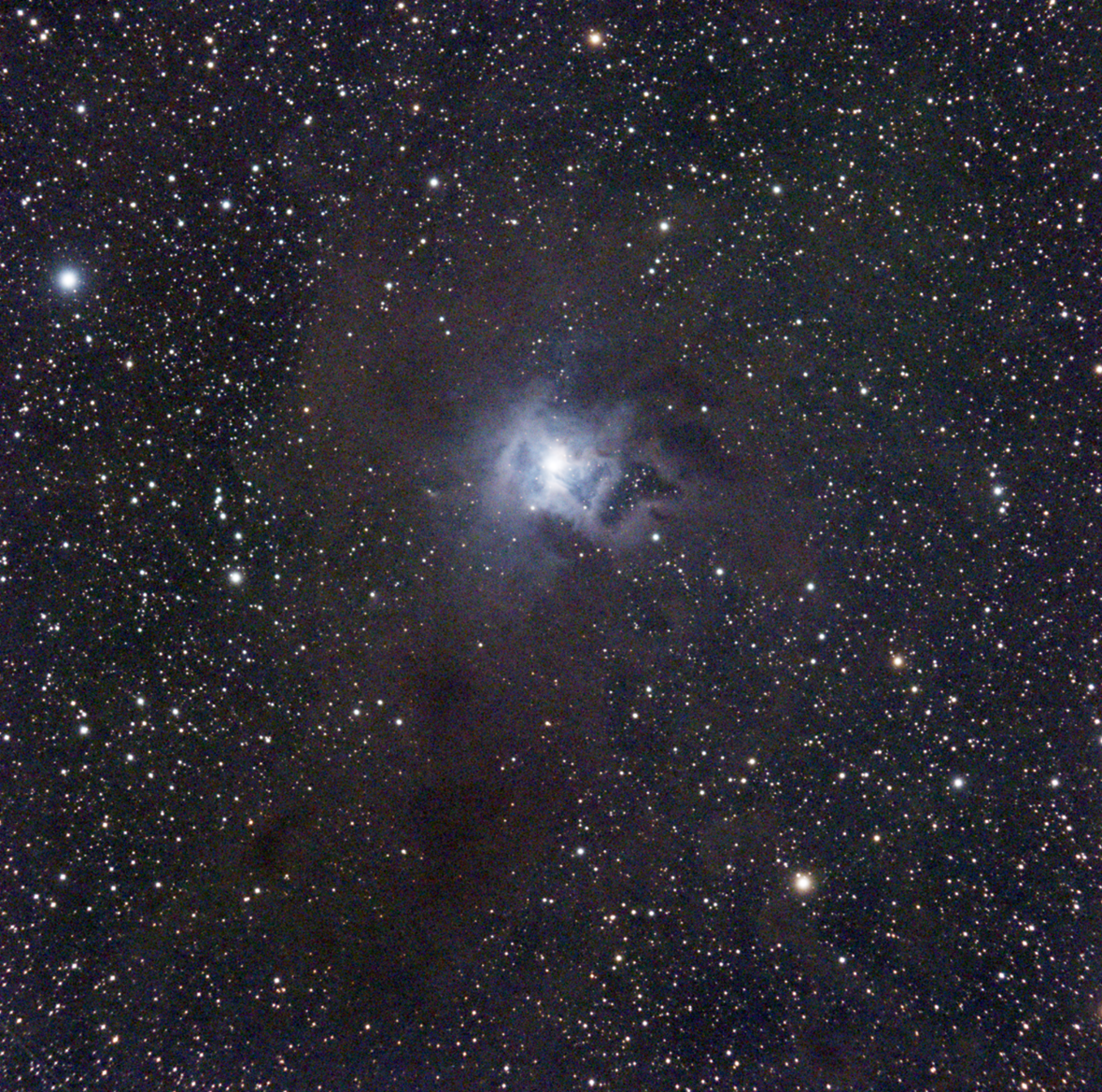 NGC 7023 Iris Nebula