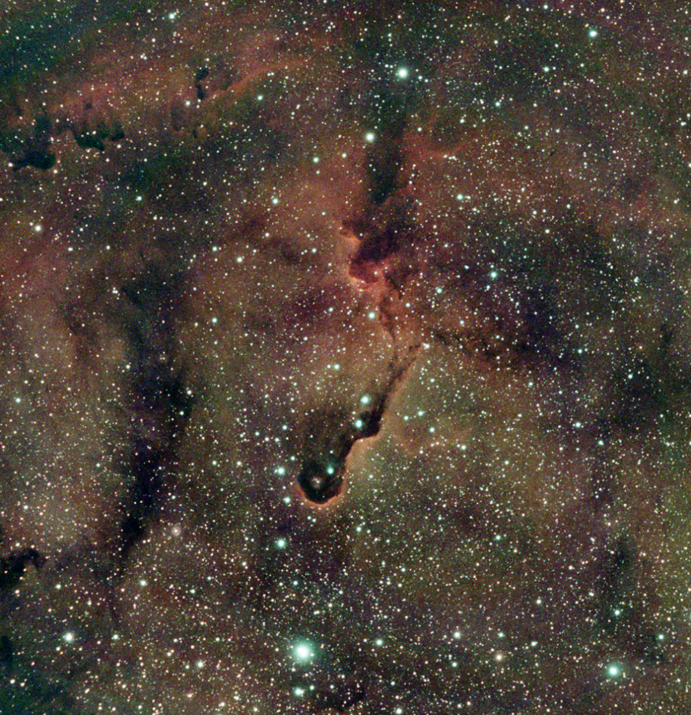 IC 1396 Elephants Trunk Nebula
