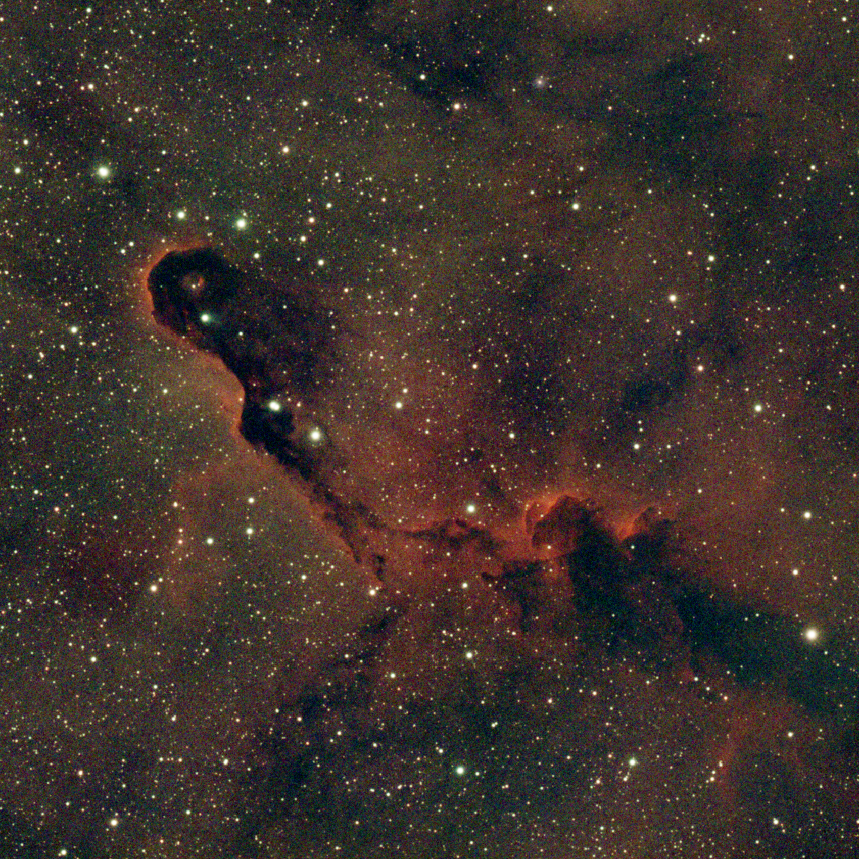 IC 1396 Elephant’s Trunk Nebula – 120mm v1