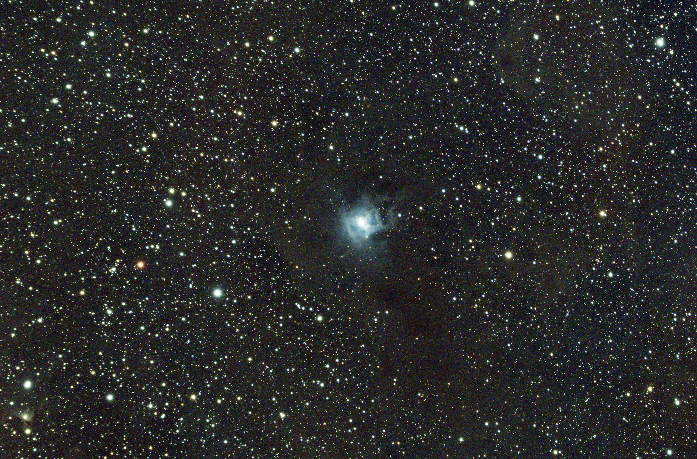 NGC 7023 Iris Nebula
