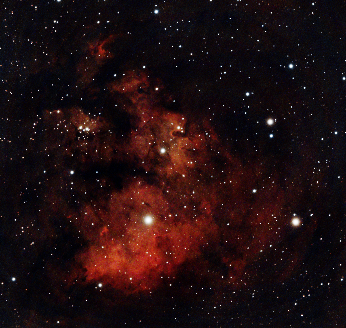 NGC 7822 Nebula in Cepheus