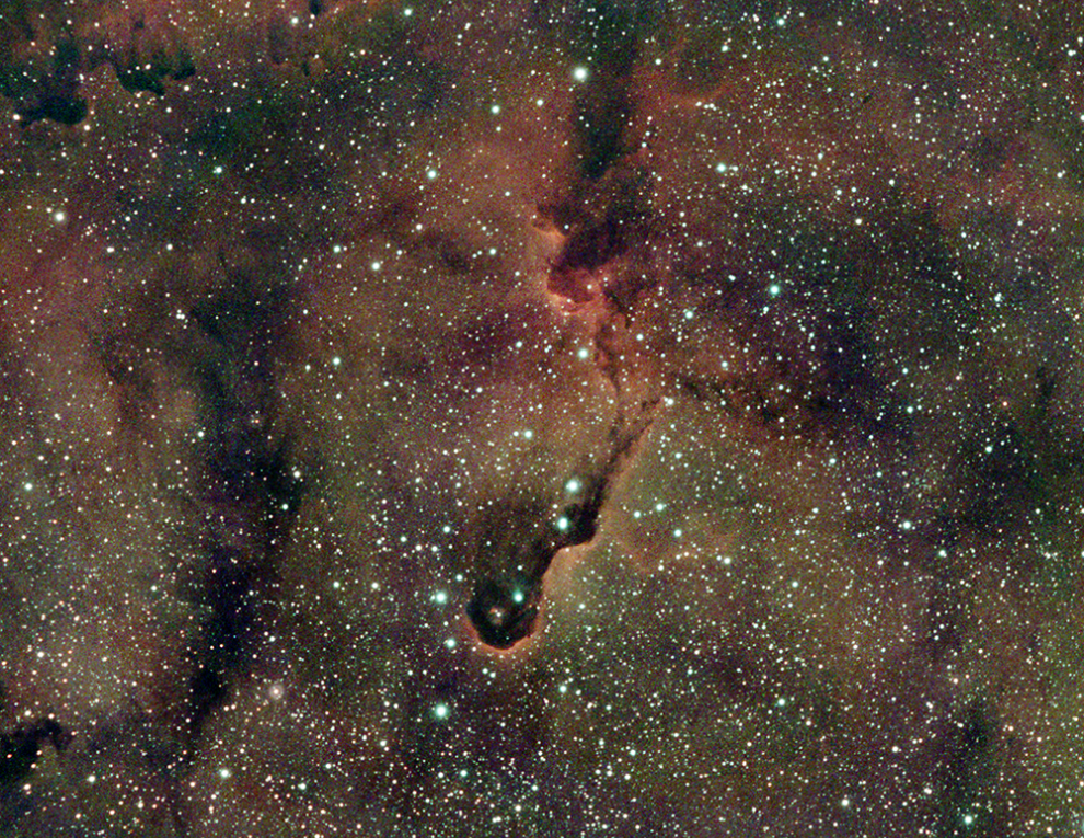 IC 1396 Elephants Trunk Nebula