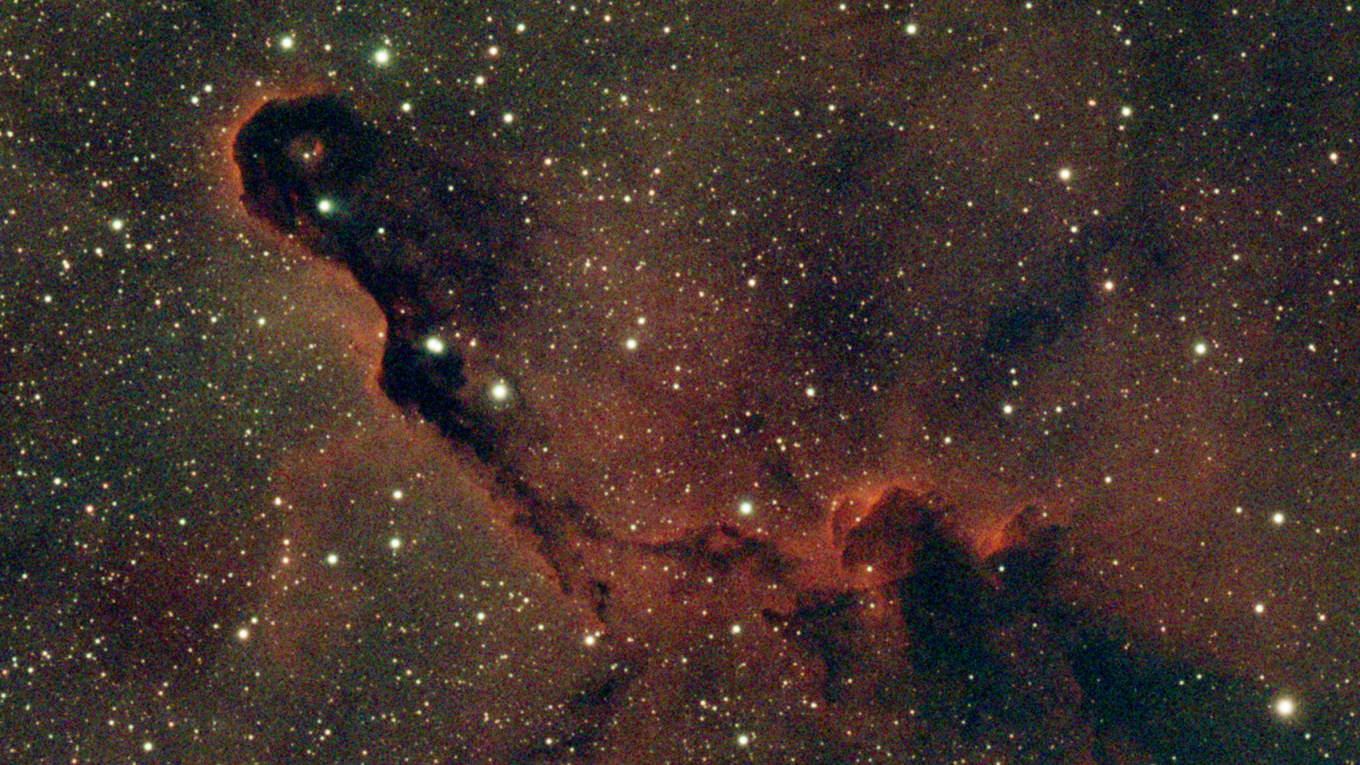 IC 1396 Elephant's Trunk Nebula